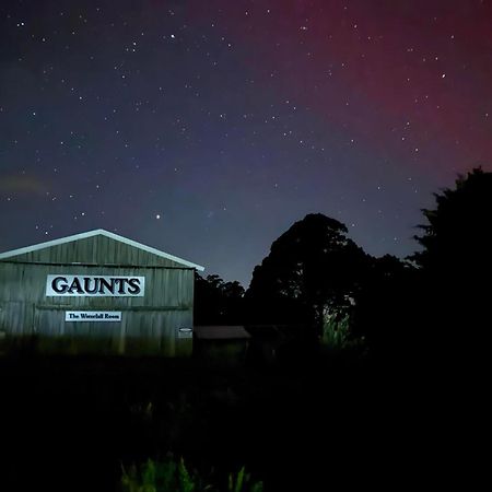 Buttons Cottage Under The Milky Way Nietta Eksteriør bilde